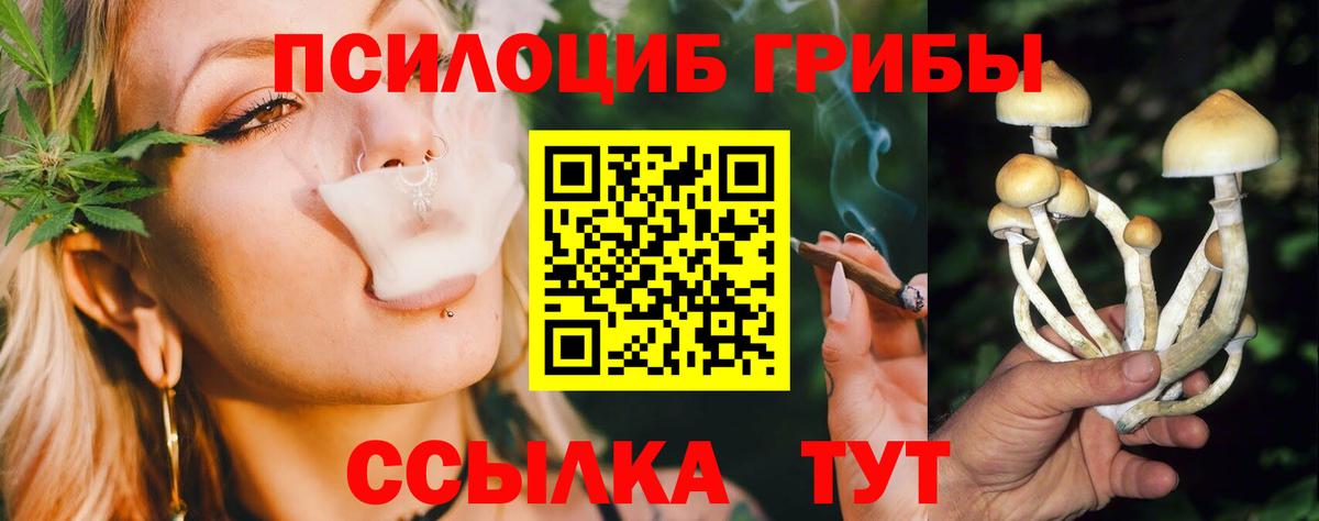 Псилоцибиновые грибы MAGIC MUSHROOMS  Галлюциногенные грибы ЛСД  Вход с VPN  где купить   Кимры 