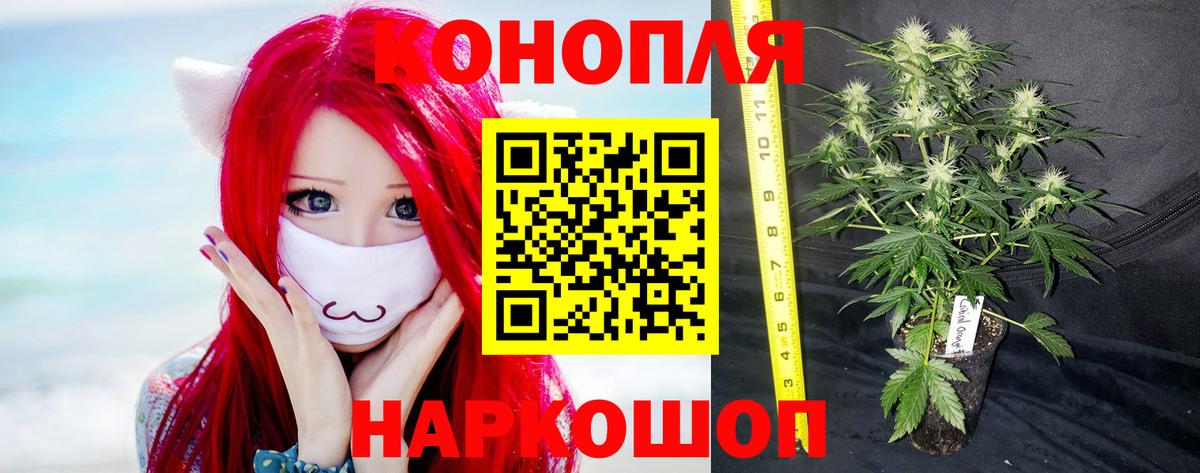 Канабис планчик  МАРИХУАНА Ganja  Канабис MAZAR  Вход с VPN  Марихуана THC 21%  Кимры 